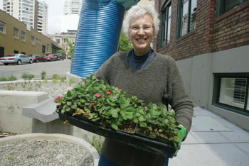 Natural Home Earth Mover: Carolyn Geise Image